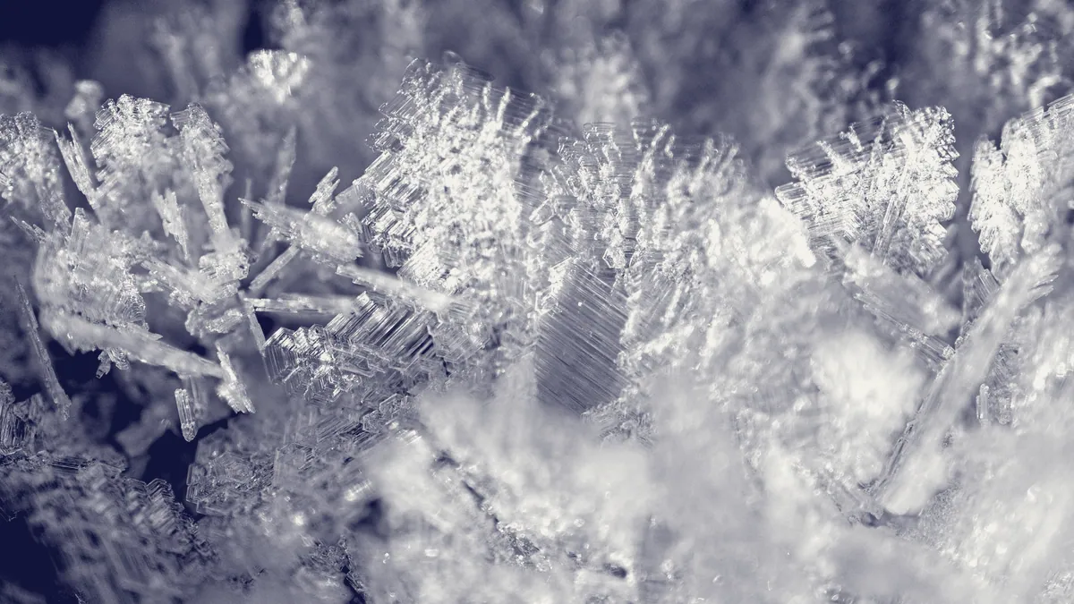 Un cristal de nieve.
