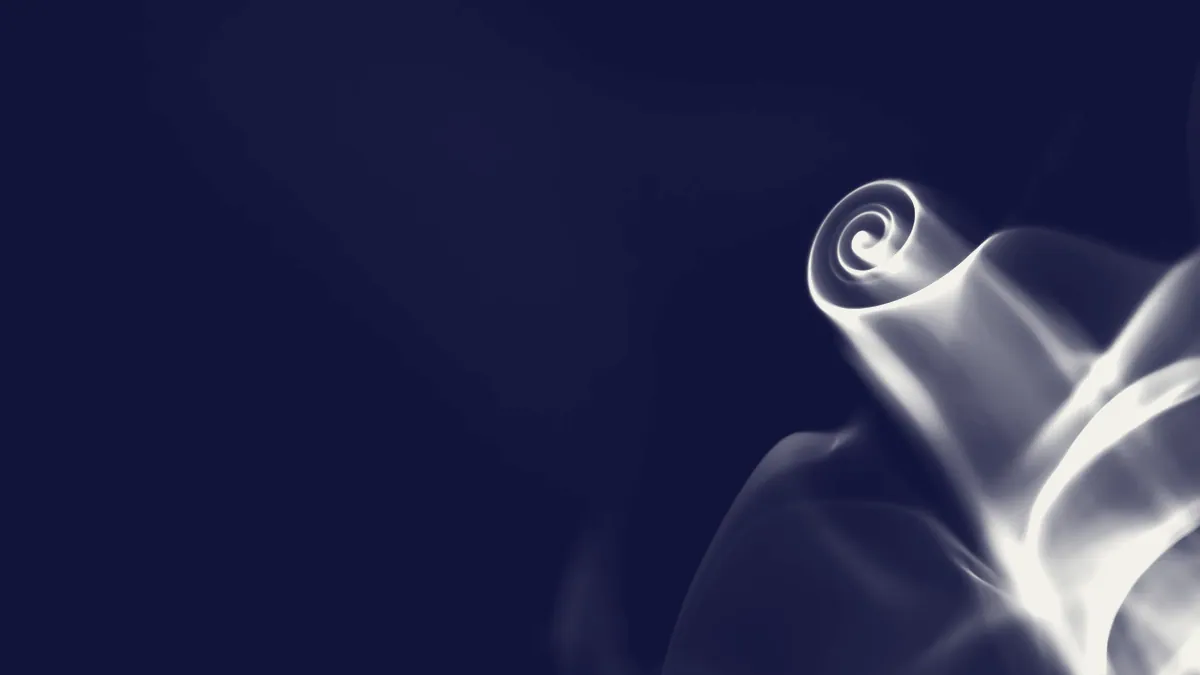 Humo en movimiento, un flujo caotico.