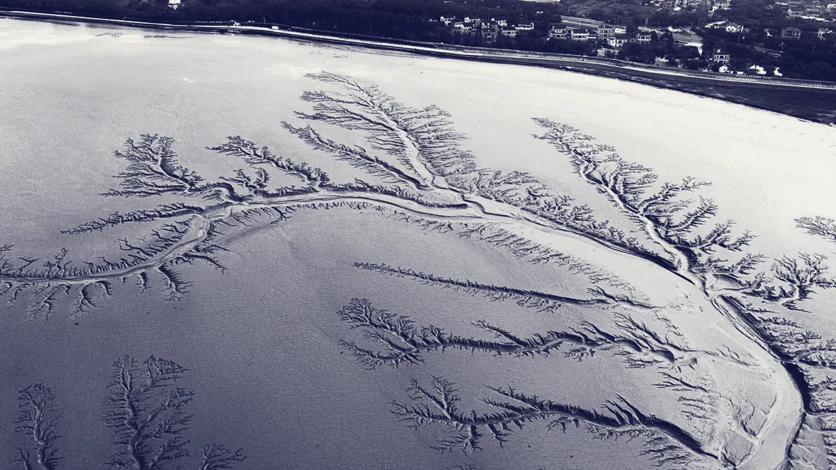 Un delta fluvial ramificado visto desde el aire.